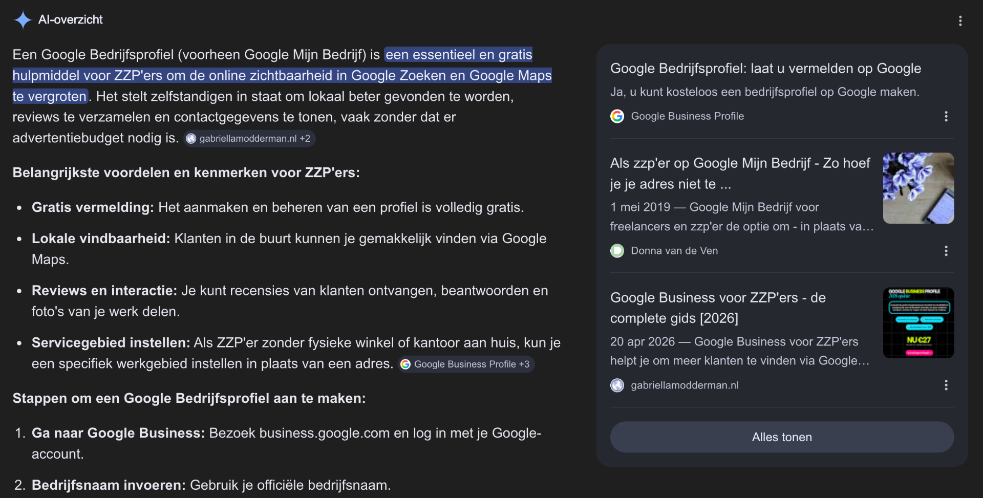 Google AI Overview — Google Bedrijfsprofiel voor ZZP'ers